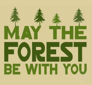 May the Forest Be with You